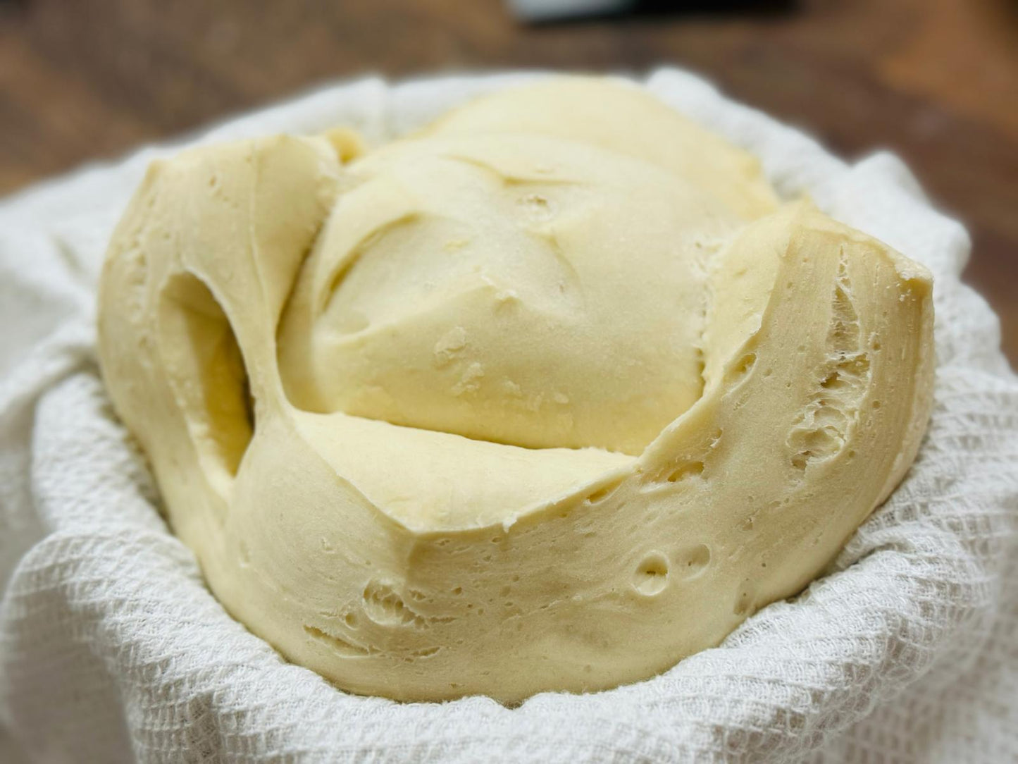 *CHRISTMAS* PANETTONE 3-Day Masterclass by Chef Giovanna Chen (Team TAIWAN)