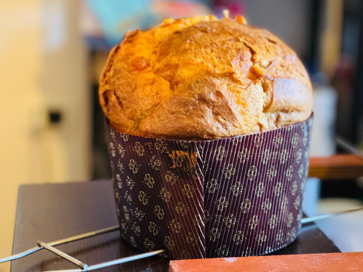 *CHRISTMAS* PANETTONE 3-Day Masterclass by Chef Giovanna Chen (Team TAIWAN)