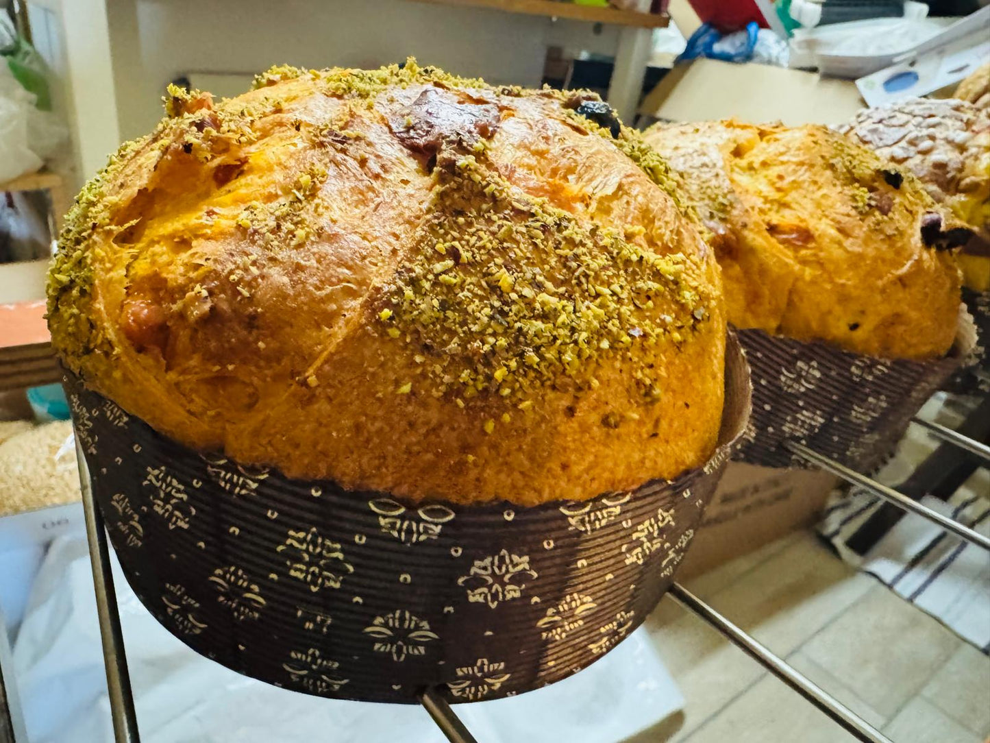 *CHRISTMAS* PANETTONE 3-Day Masterclass by Chef Giovanna Chen (Team TAIWAN)