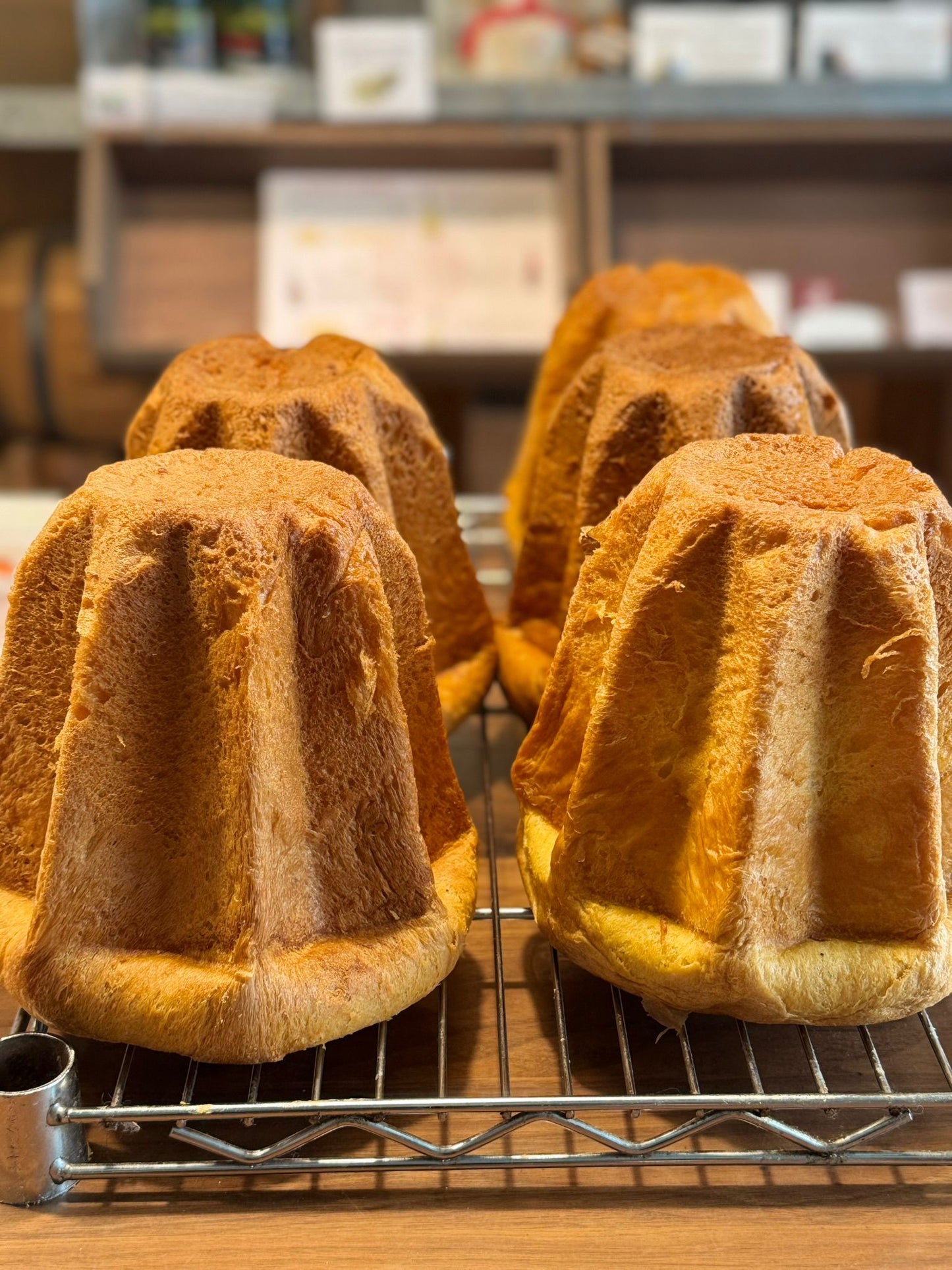 *CHRISTMAS* PANETTONE 3-Day Masterclass by Chef Giovanna Chen (Team TAIWAN)